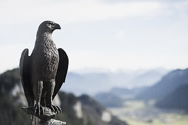 Eine detailreiche Falkenstatue steht majestätisch auf einem Felsen mit Blick auf die Burgruine am Falkenstein